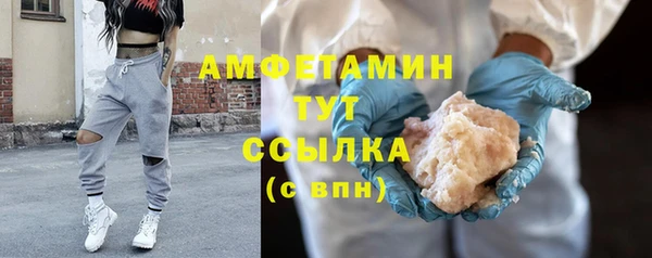 соль ск Ельня
